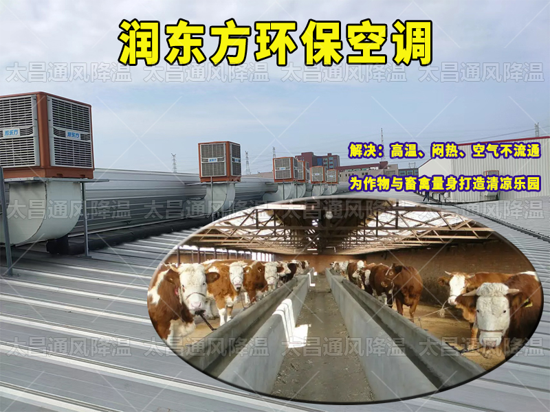 未標題-1.jpg