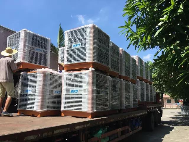 工廠車間快速降溫方法，你知道嗎？